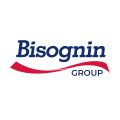 BISOGNIN GROUP progetto logo